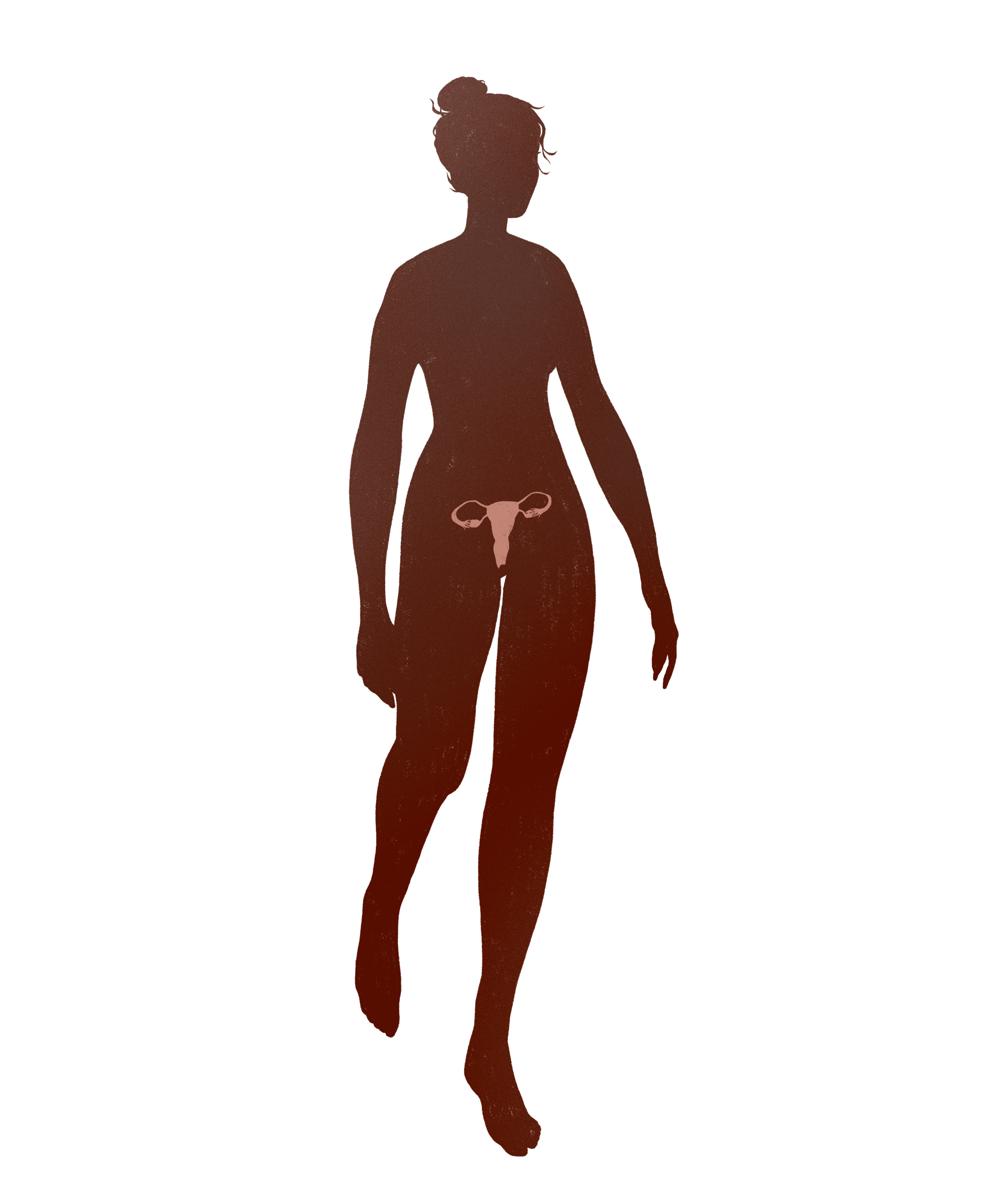 silhouette-reproductive
