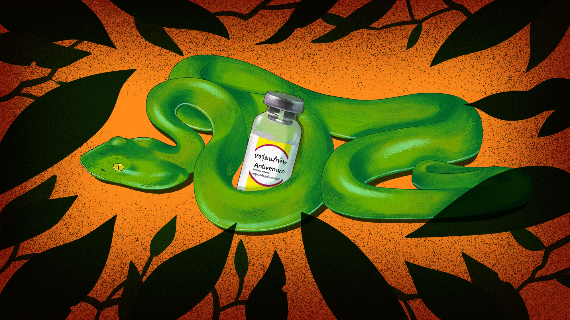 illustration of a green snake coiled around a bottle of antivenom, with leaves creating a frame around the edges