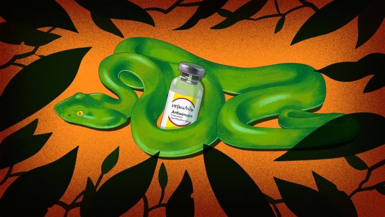 illustration of a green snake coiled around a bottle of antivenom, with leaves creating a frame around the edges