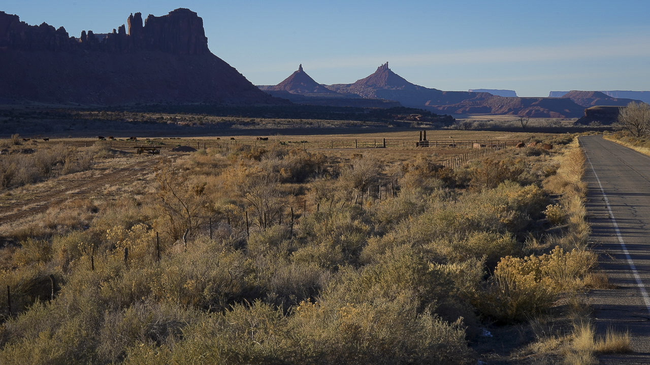 Tall grass in the foreground and dark, craggy cliffs in the background -- a part of Bears Ears National Monument.