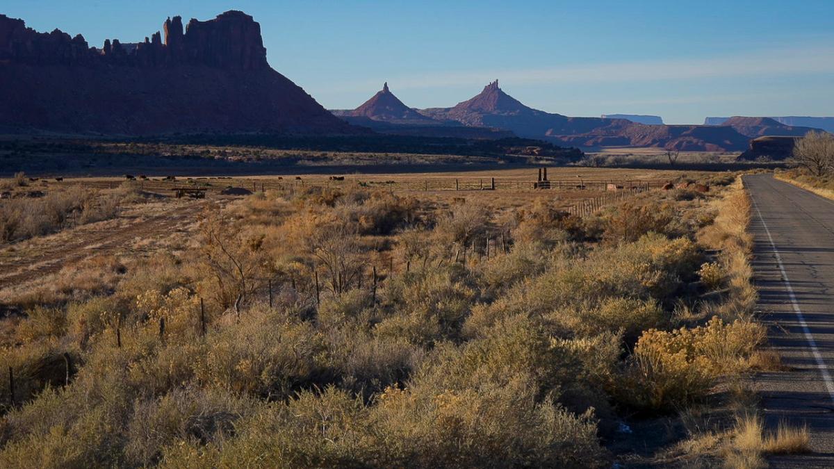 Tall grass in the foreground and dark, craggy cliffs in the background -- a part of Bears Ears National Monument.