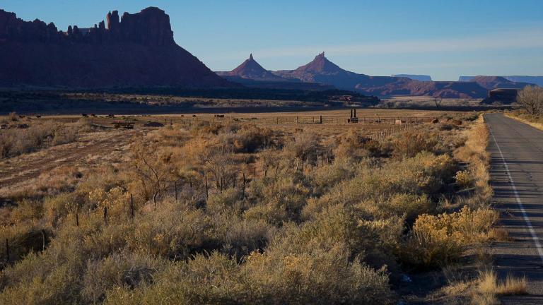 Tall grass in the foreground and dark, craggy cliffs in the background -- a part of Bears Ears National Monument.