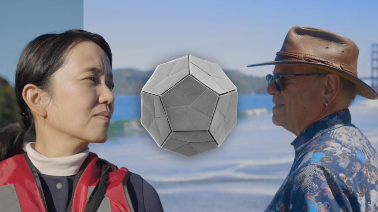 A collage of a man and a woman looking toward the center of the image, where an electron microscope scan of a calcified algae cell is displayed