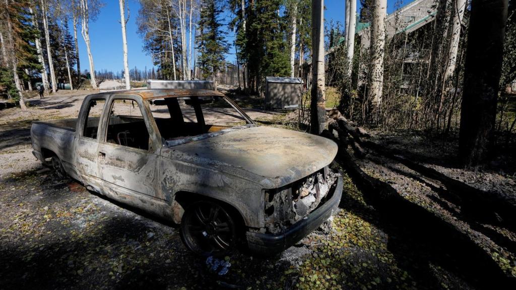 A burned out truck sits amid white trees scorched by the Cottonwood Fire