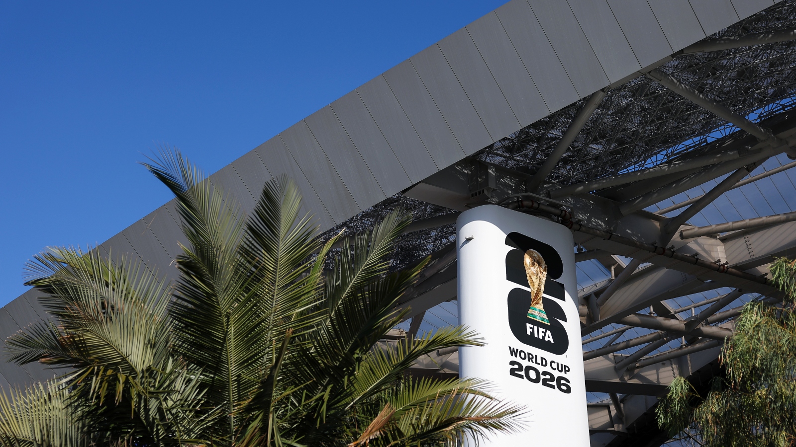 A palm tree sits next to a FIFA sign