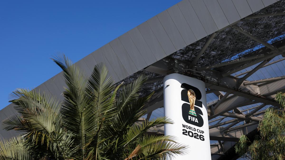 A palm tree sits next to a FIFA sign