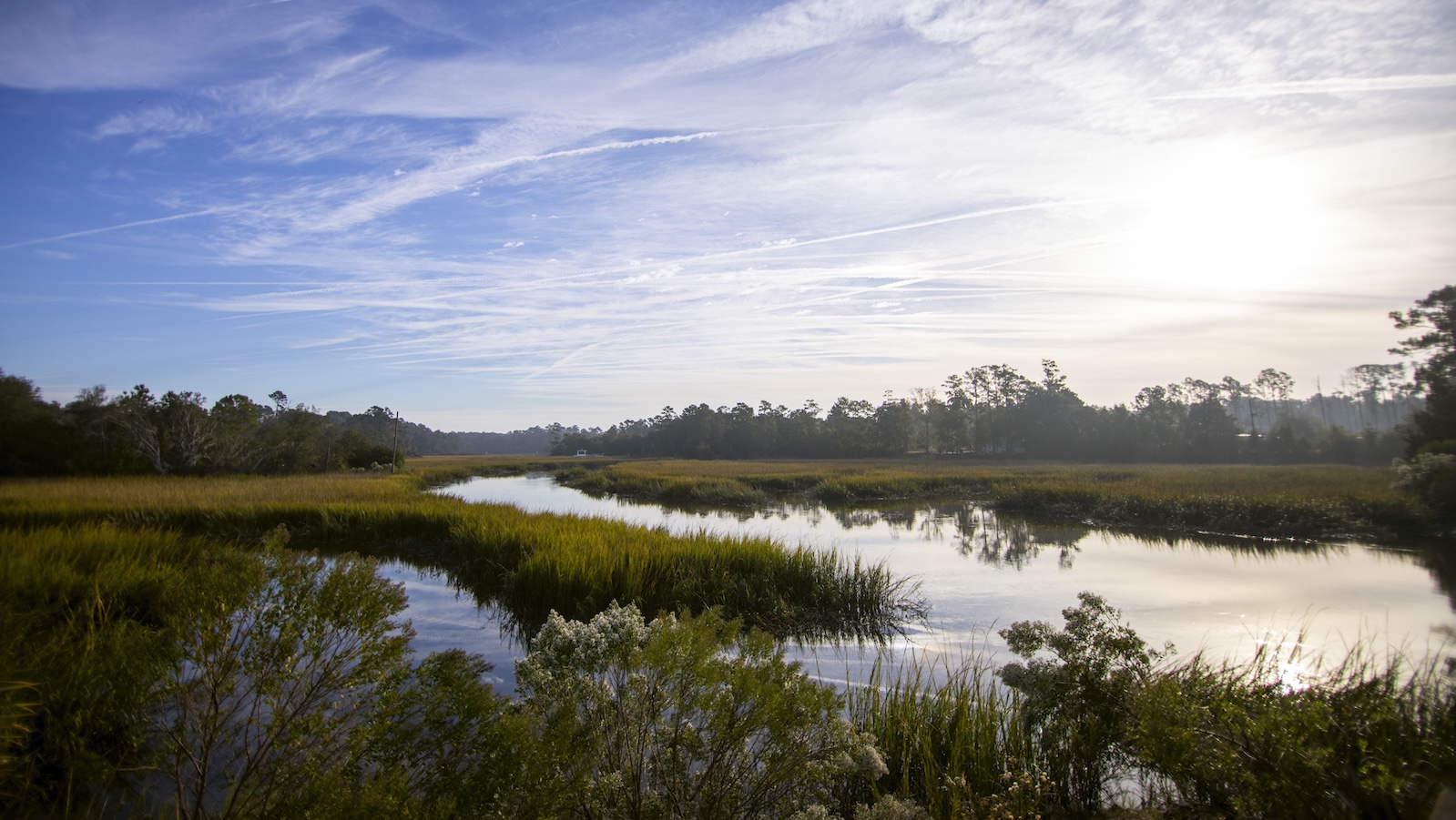 A new plan to preserve Georgia’s marshes: Give them space&hellip;