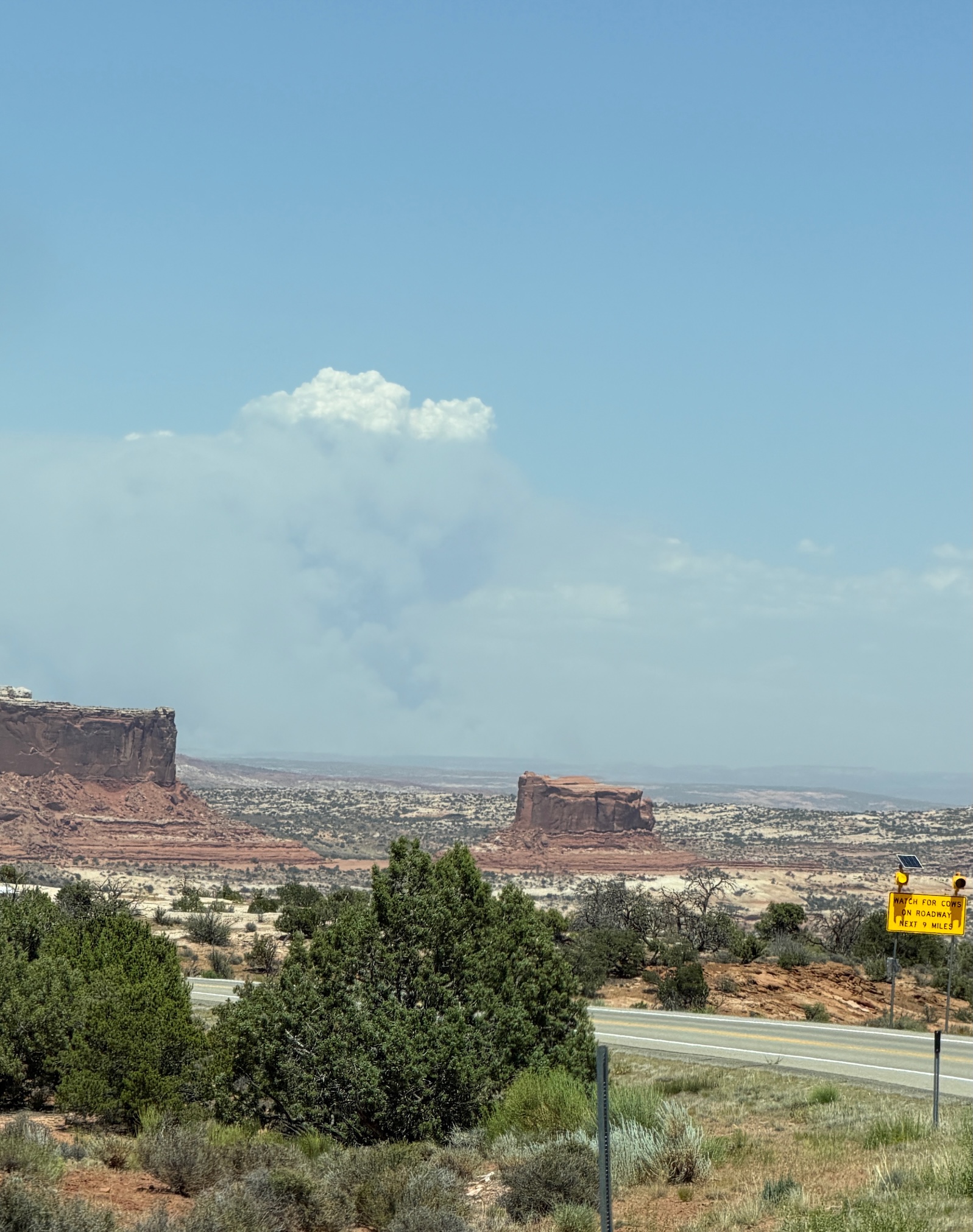 A smoke plume from a wildfire rises from a desert landscape