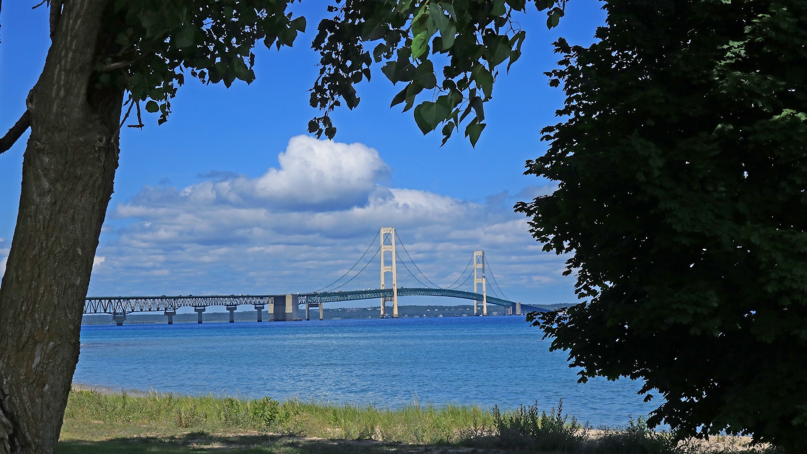 A view of Mackinac Bridge on a cloudy sunny day from a shoreline with trees.