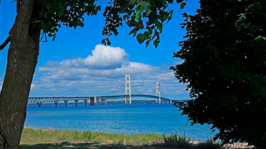 A view of Mackinac Bridge on a cloudy sunny day from a shoreline with trees.