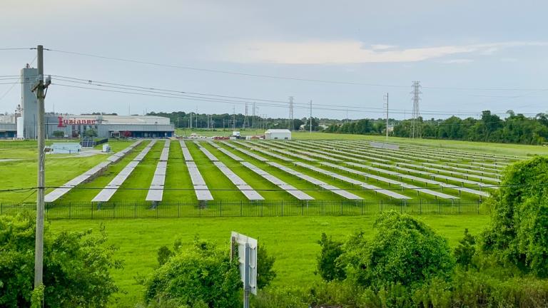 Rows of solar panels in a field