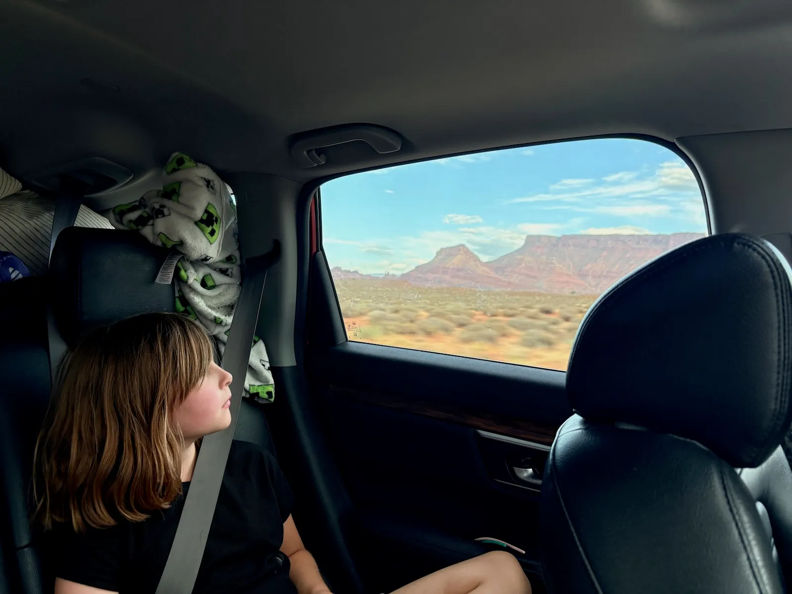 A girl looks out the window of a car at a smoky desert landscape