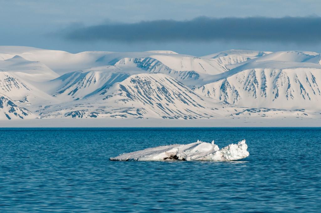 Ice-covered mountains seen across the Arctic Ocean