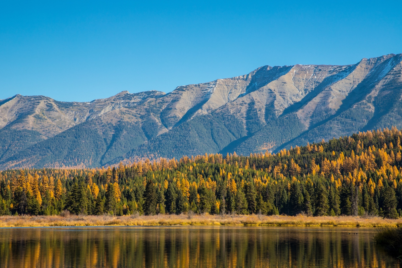 a forest is seen across a lake, with mountains rising in the background