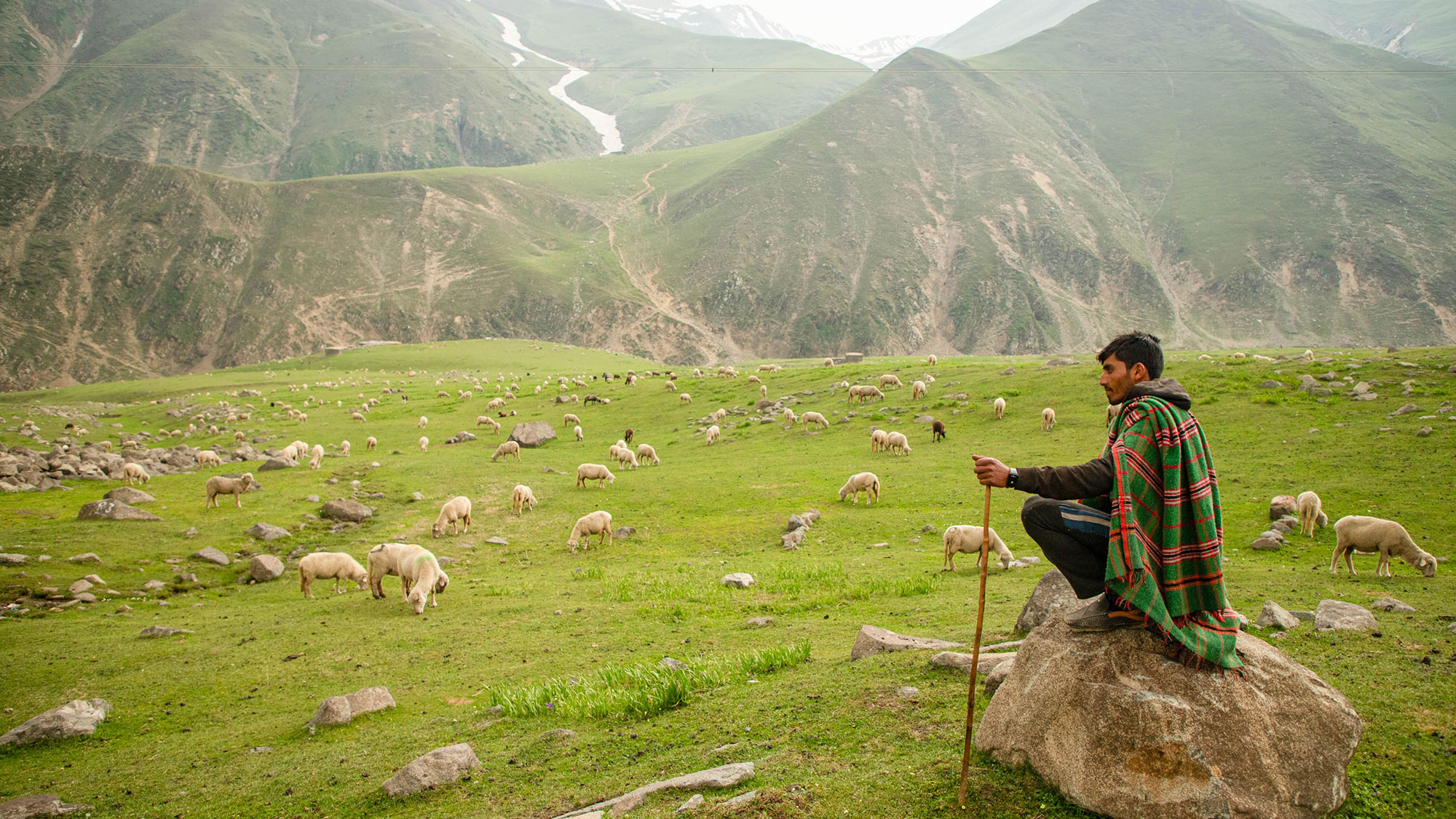 Living with drought has taught pastoralists lessons the world needs
