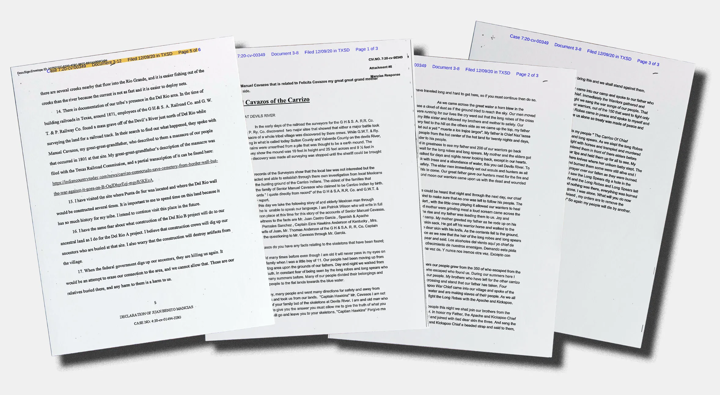 Scattered printed papers with declarations on them