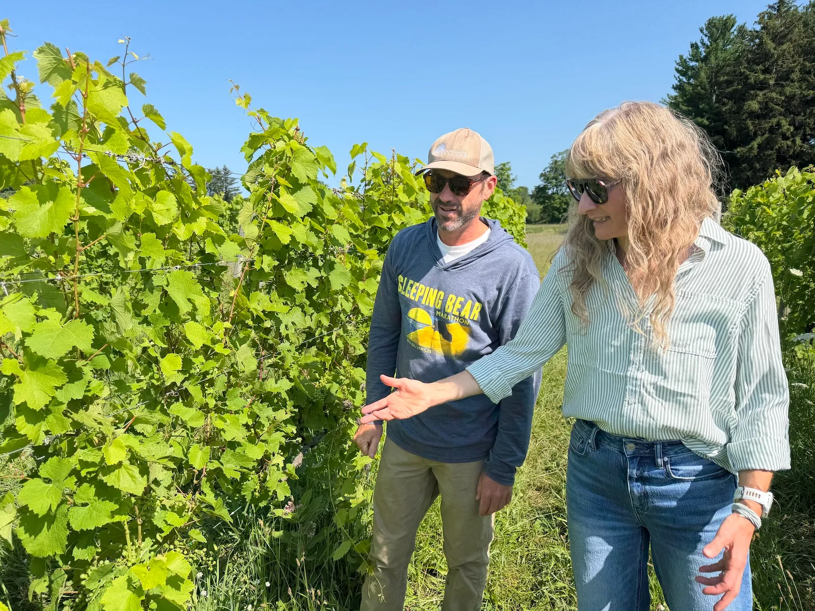 A man and woman stand point and look at grape vines growing in a vineyard on a sunny day.