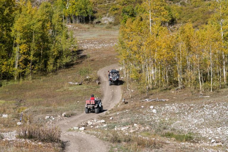 Two ATVs seen on a forest trail