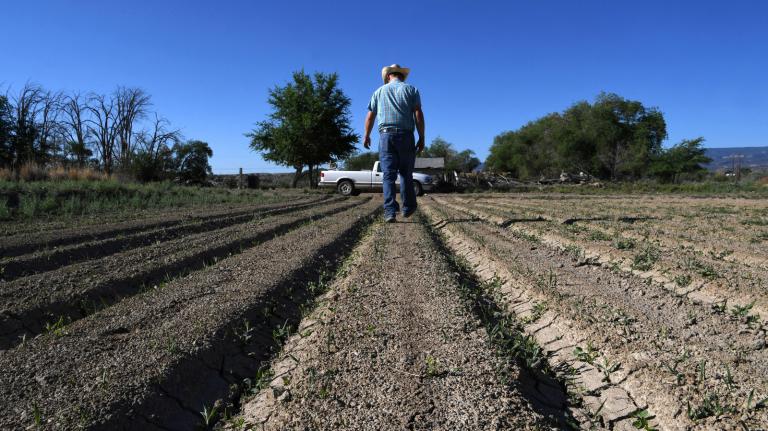 Photo of a man walking away from the camera in a dry field