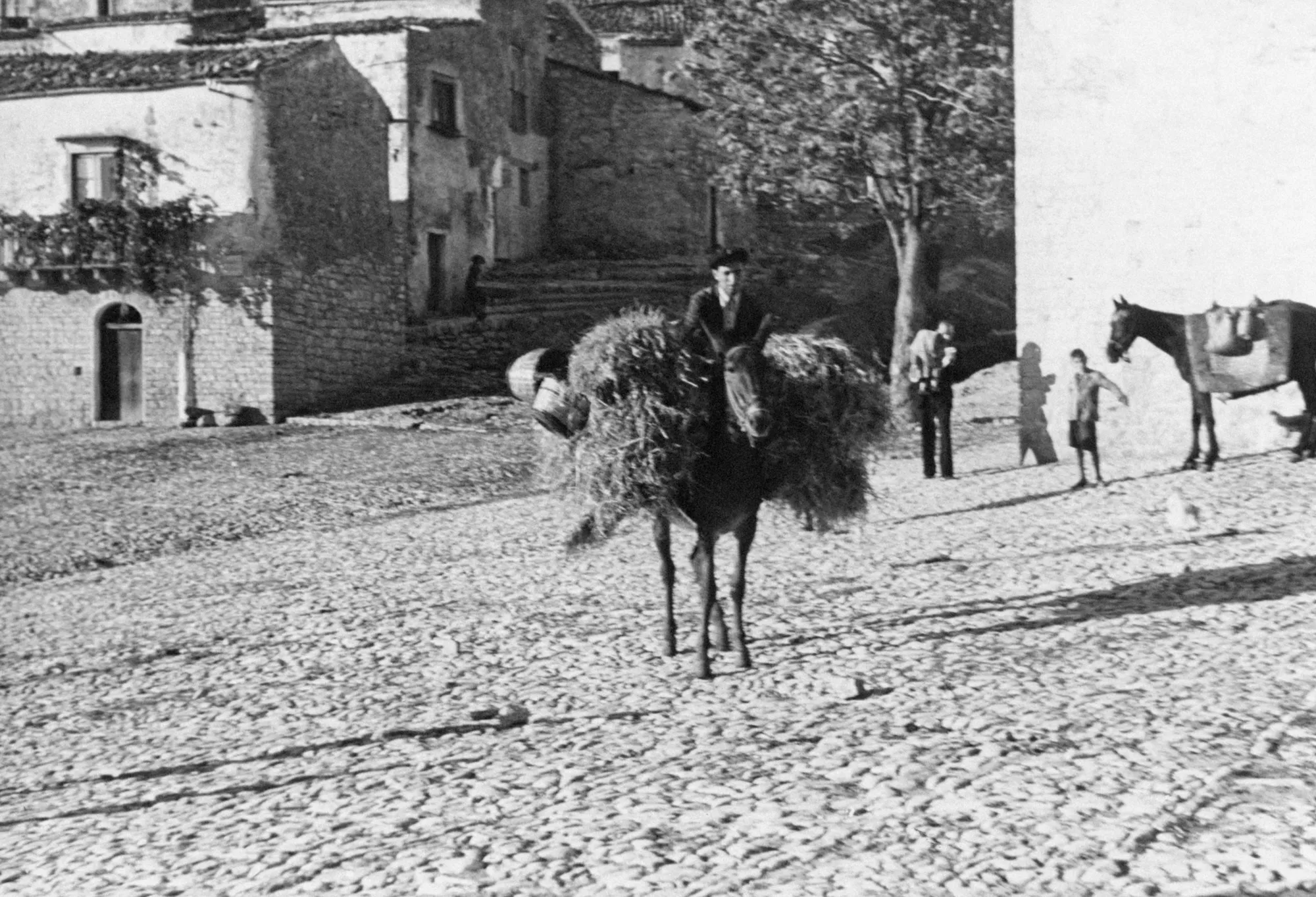 A black and white photo of a man next to a donkey carrying hay