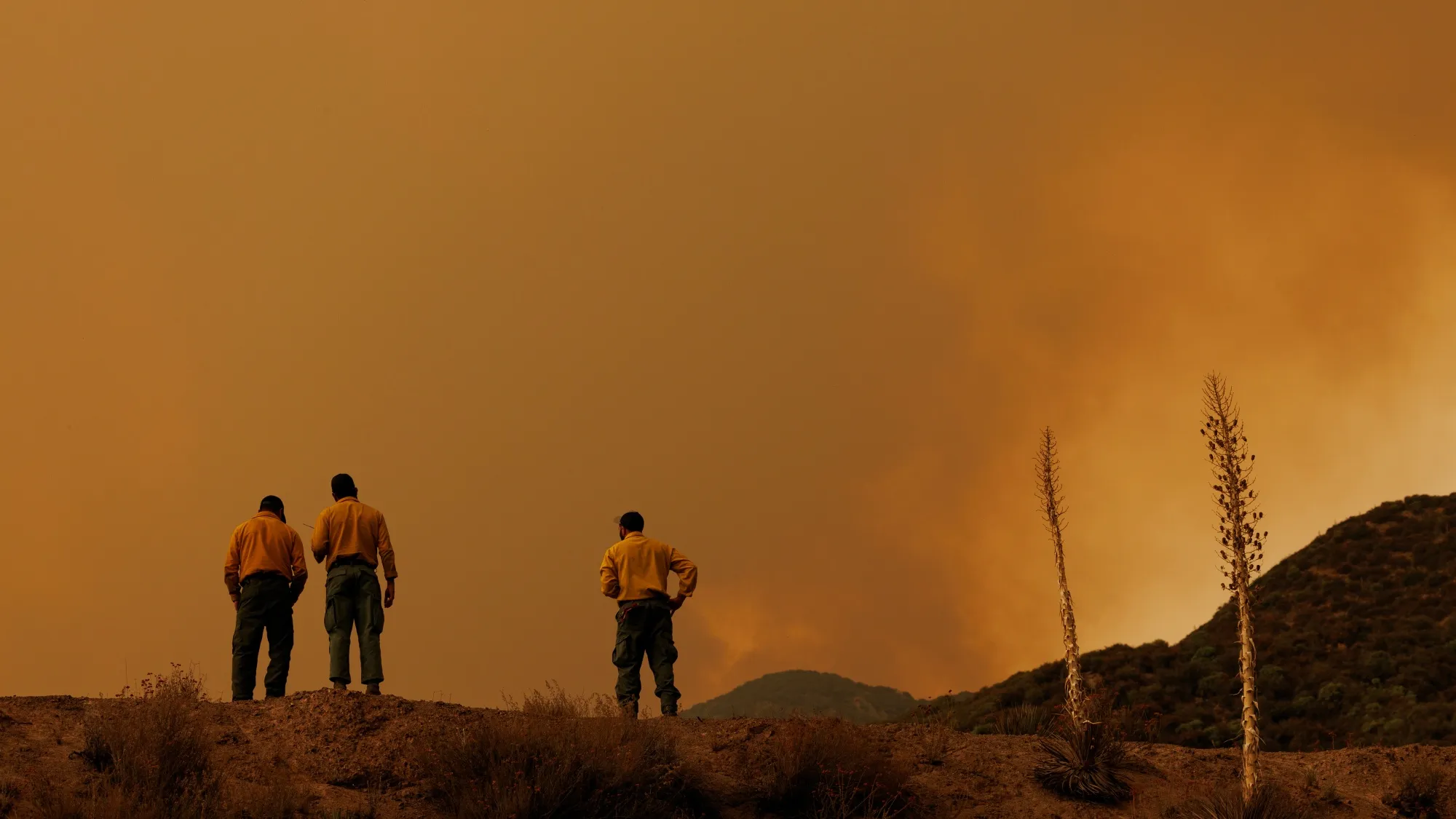 U.S. Forest Service firefighters monitor the Line Fire near San Bernardino, California in 2024.