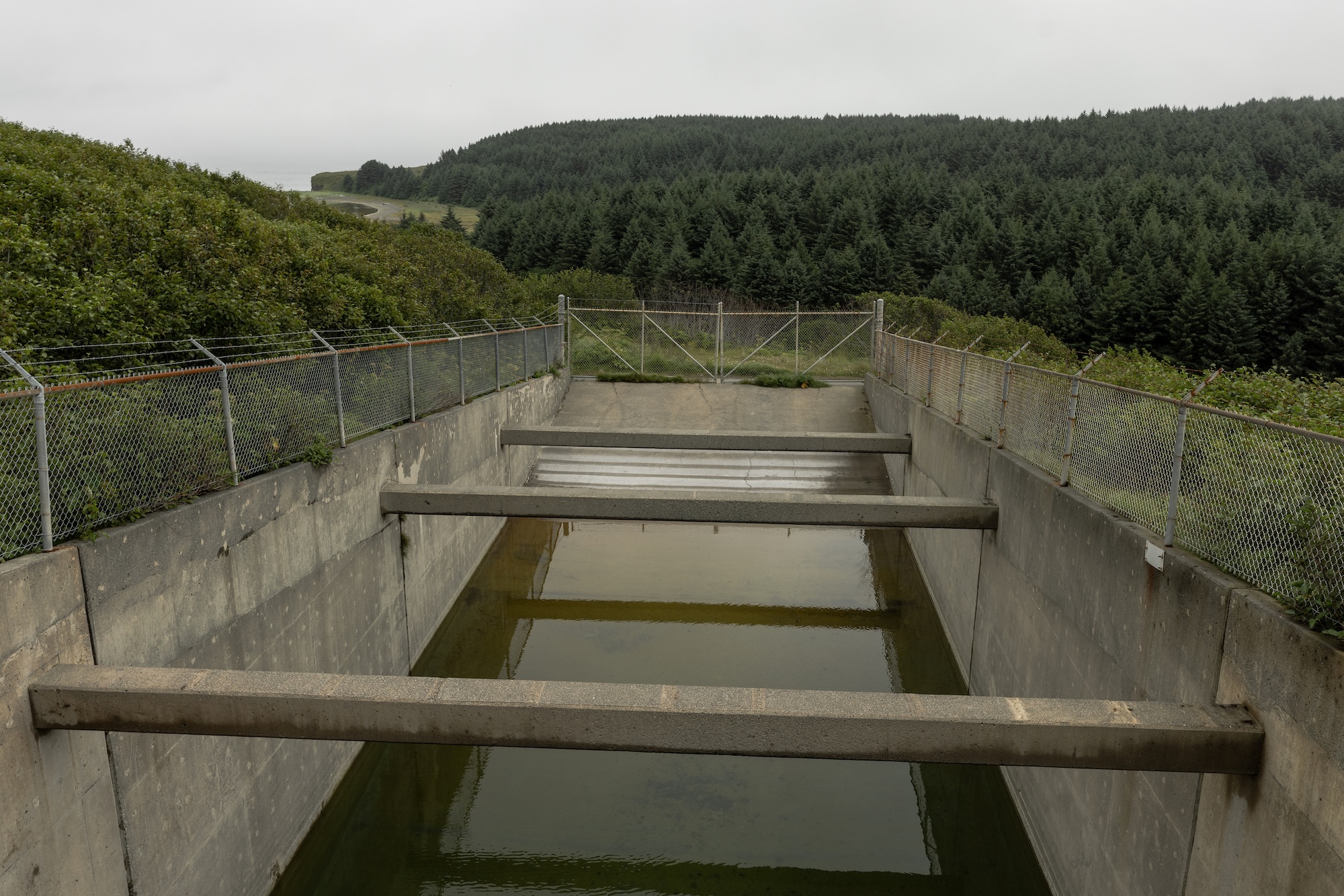 long rods cross a concrete pool near a grassy area