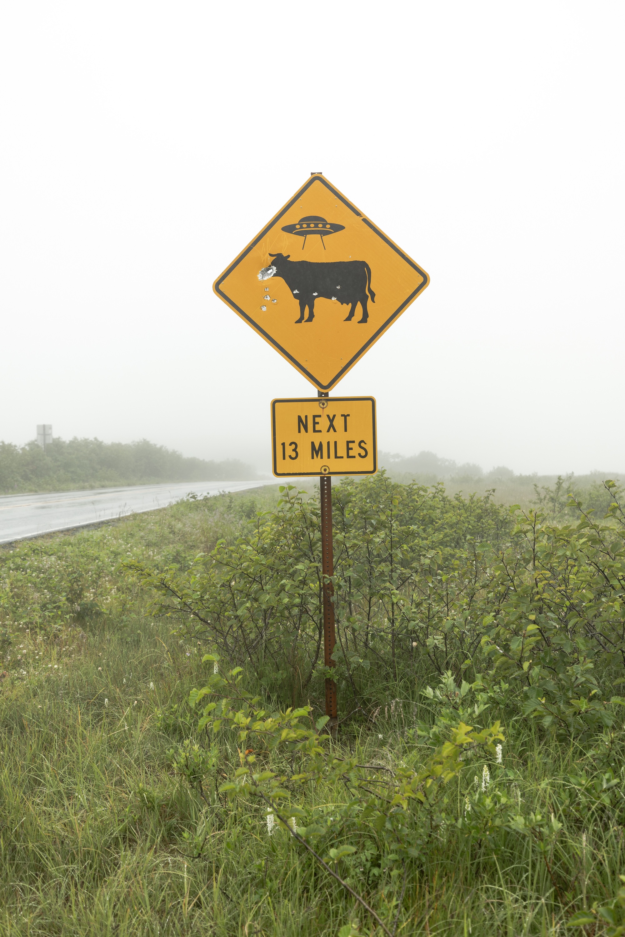 a sign shows a cow and a flying saucer that says 'next 13 miles'