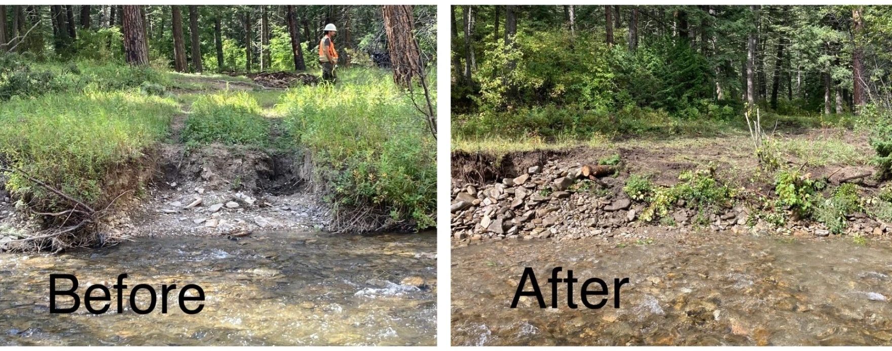 A side-by-side photos of pre and post restoration work on a river