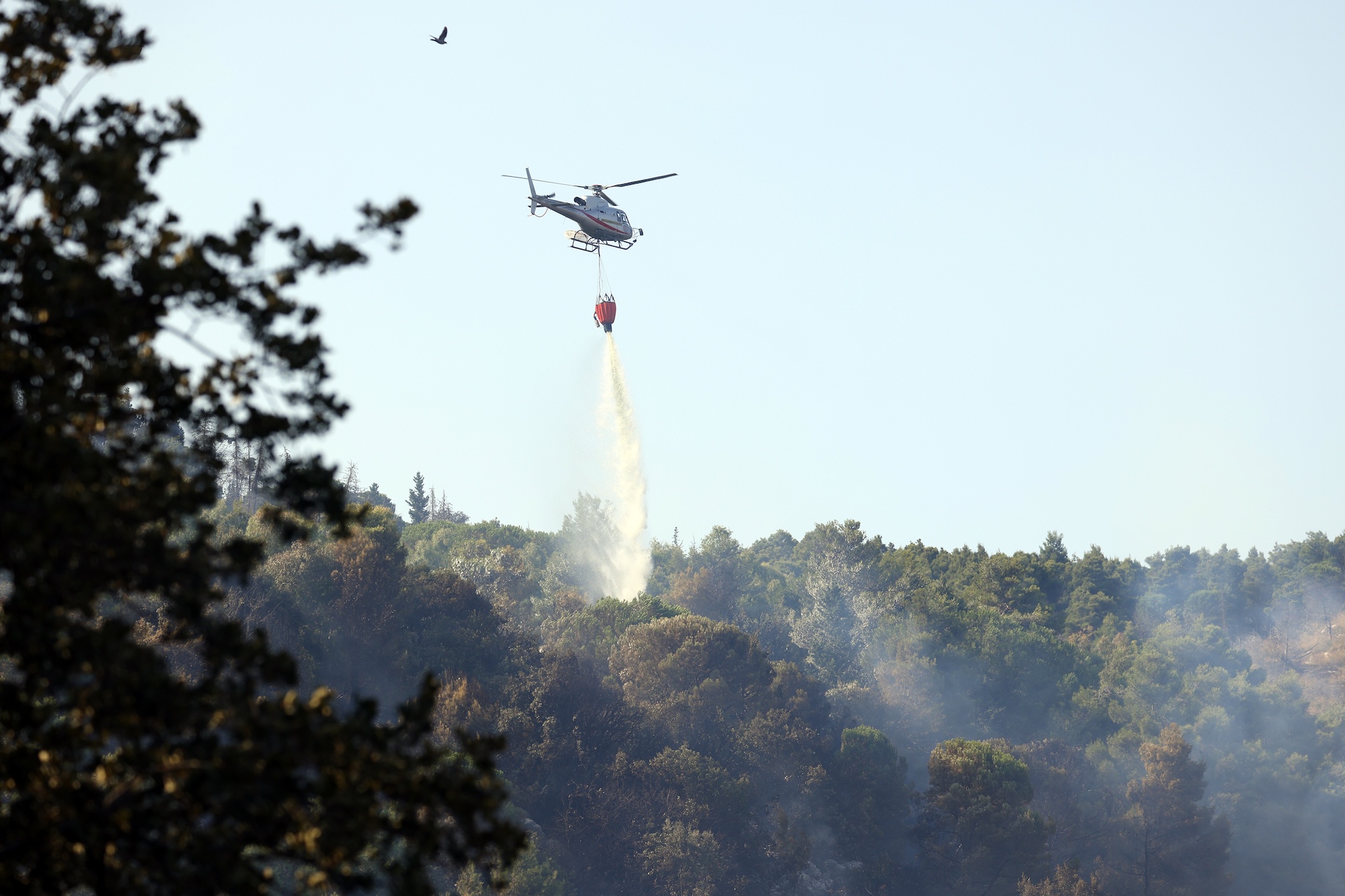 A plane drops water on a fire in a forested area of sicily