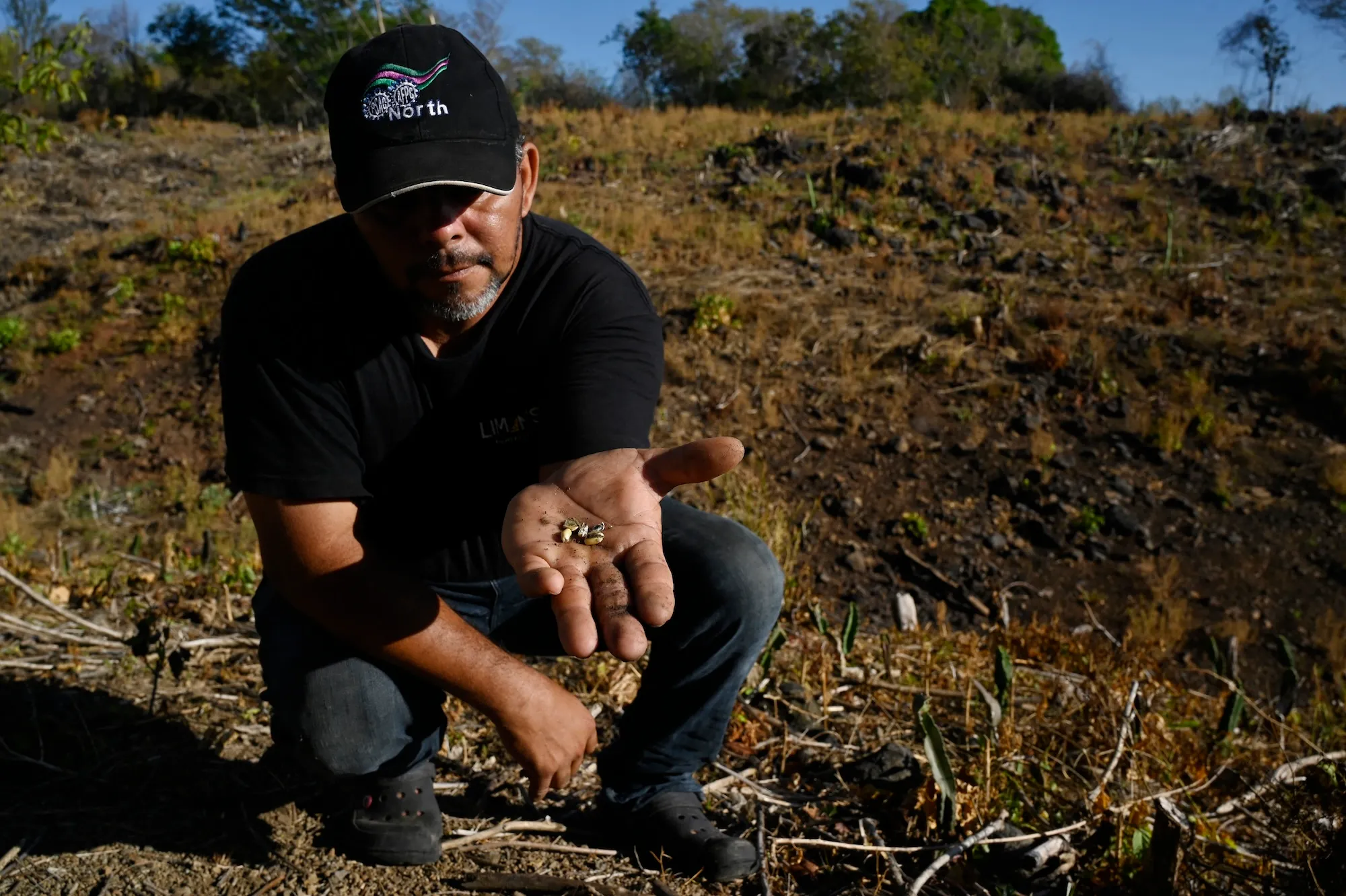 A man holds seeds in his hands while kneeling on dry farmland