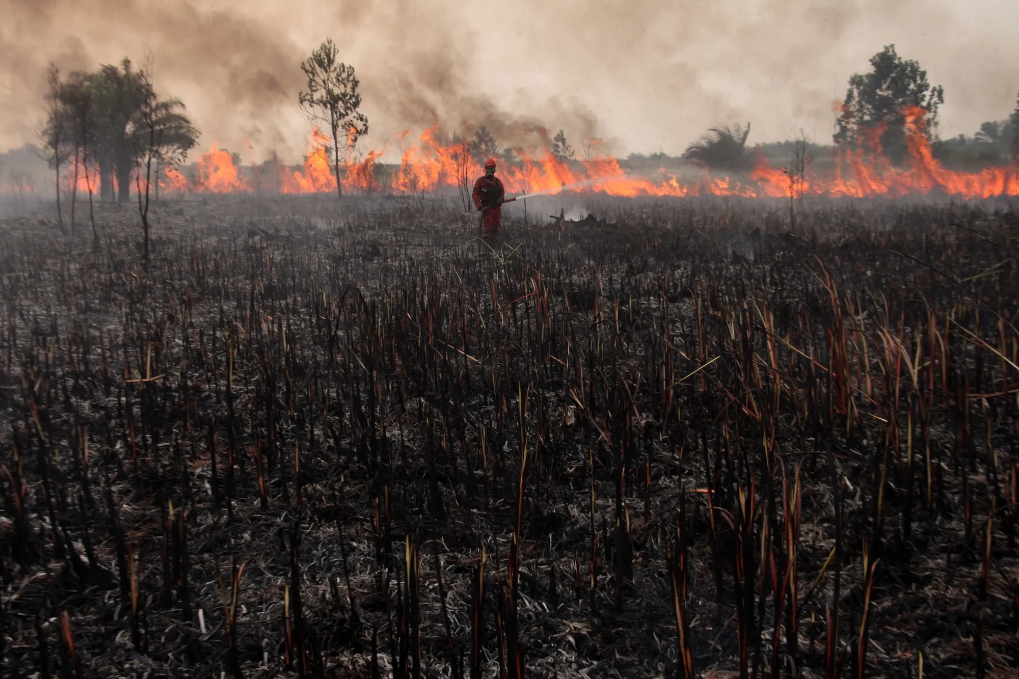 a firefighter stands in a large, dry, burning field
