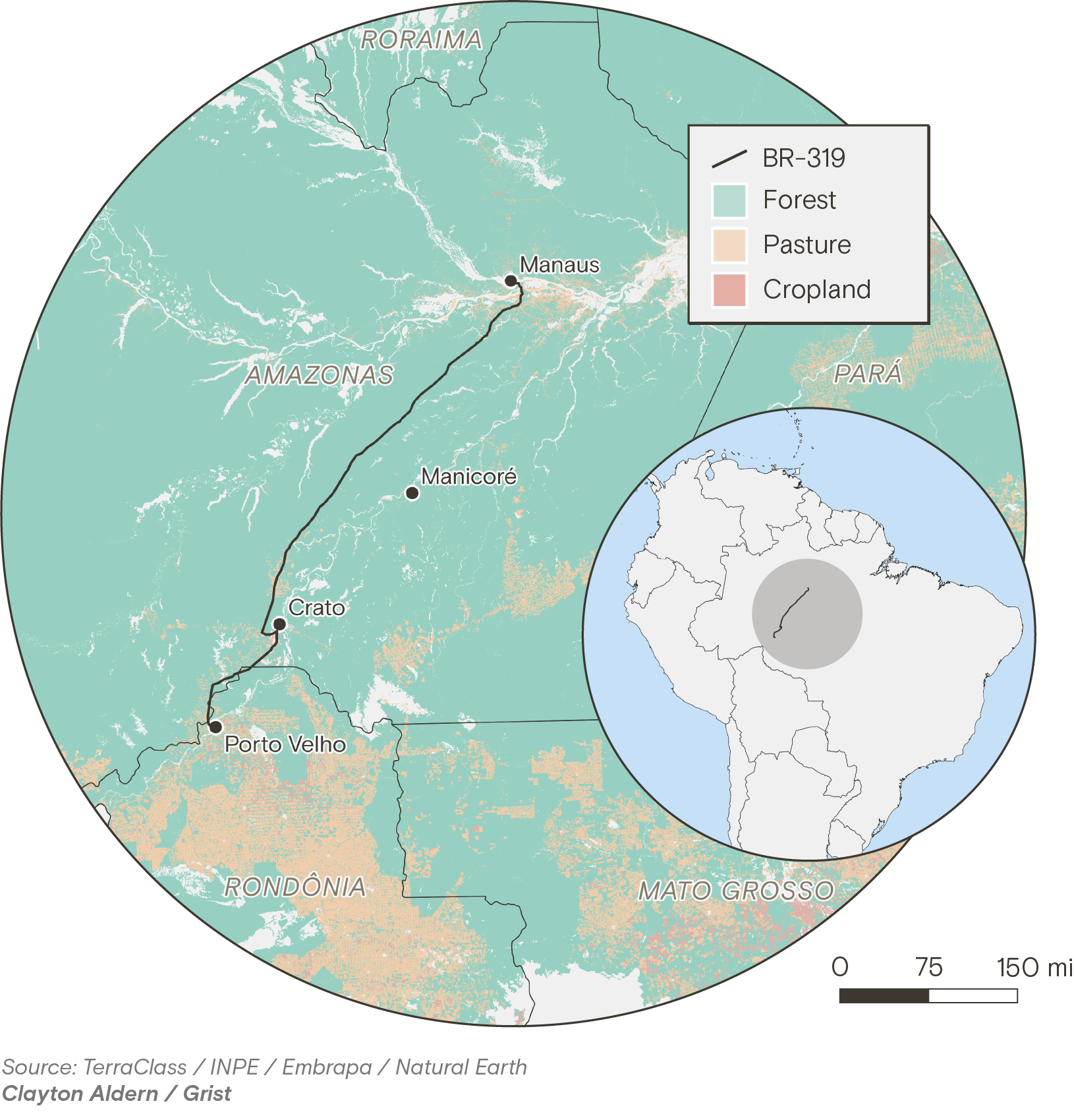 Map of highway BR-319 between Manaus and Porto Velho in the Brazilian Amazon, with 2024 land cover. Forest is green, pasture tan, cropland yellow. Cleared land clusters in the south near Rondônia and along the road.