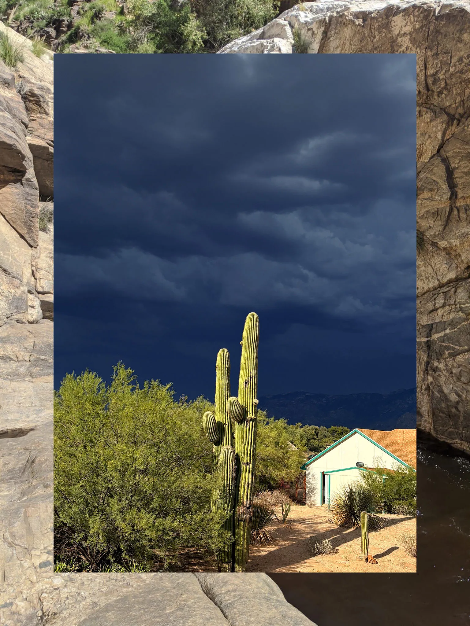 A collage consisting of two vertical photos, the outside functioning a border and the inside fully visible. The outside photo is a rocky formation. The inner photo is a cactus against a dark sky.