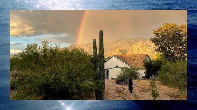 A collage consisting of two photos, an inner photo and an outer photo that appears like a frame. The inner photo is a desert summer monsoon scene. The outer photo is a summer lake.