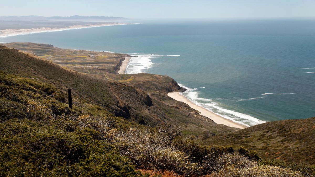 Pristine habitat for some of the rarest plants and animals on a California coastline