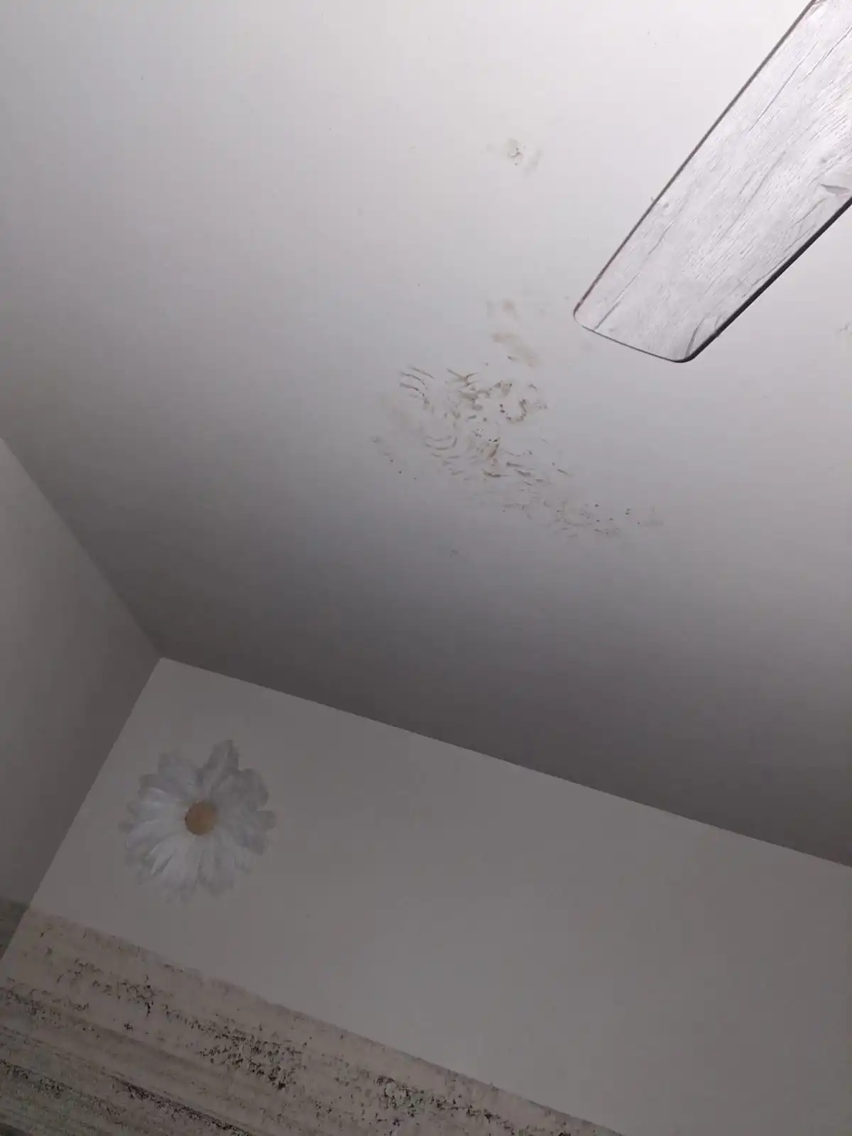 Smudges and dirt marks appear on a white ceiling next to a fan blade, above a wall featuring a painted daisy decoration.