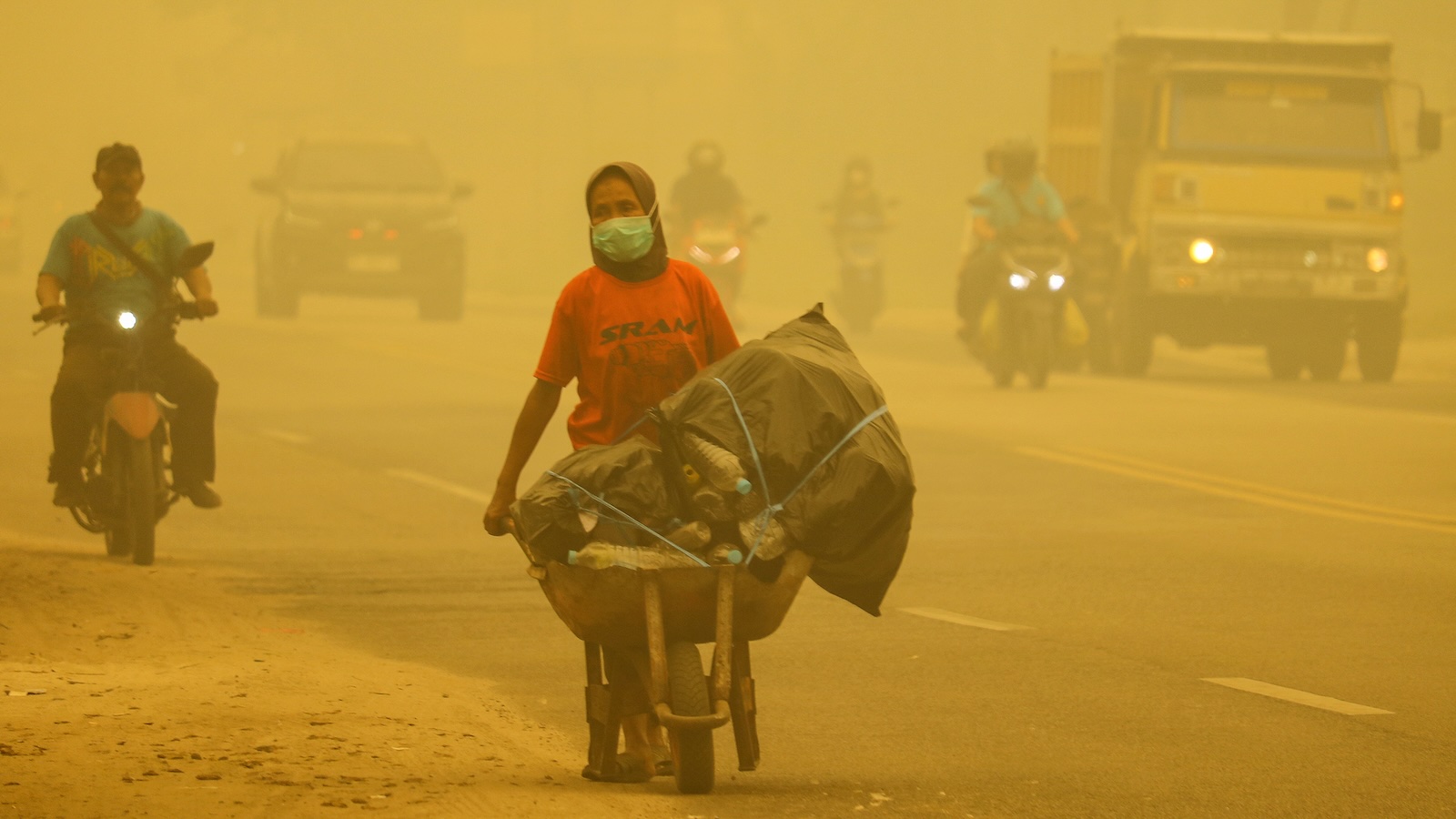 What’s fueling Indonesia’s worst wildfire season in a…